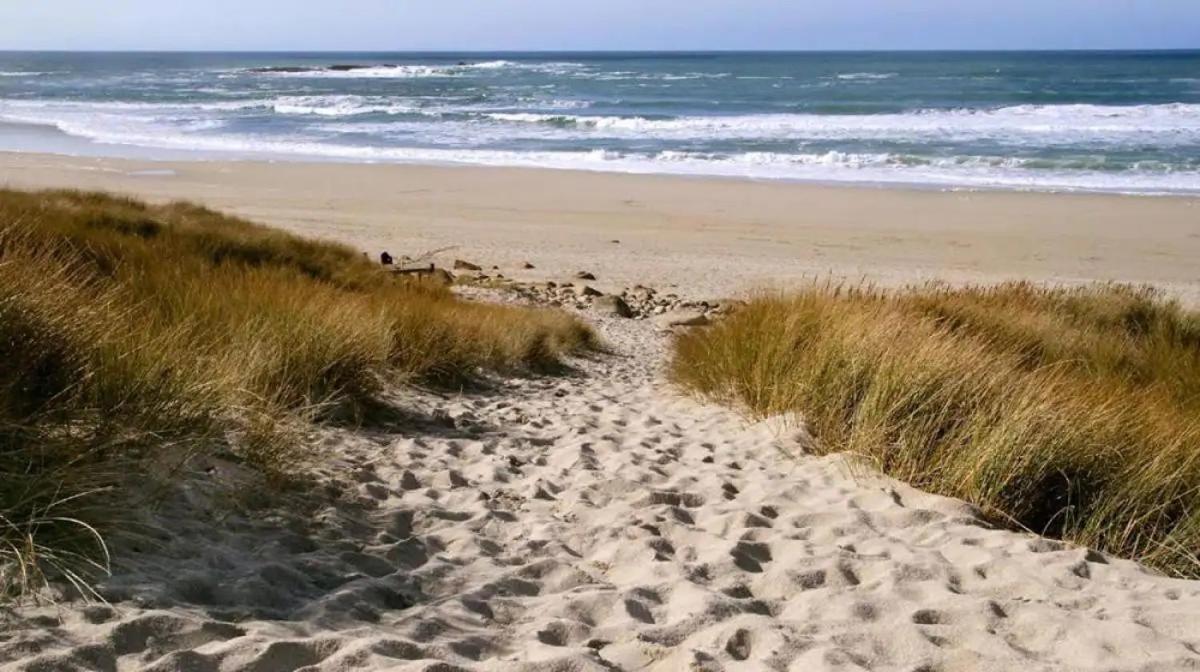 Appartement N2 Centre Village, Clim, Parking Gratuit Aigues-Mortes Eksteriør bilde